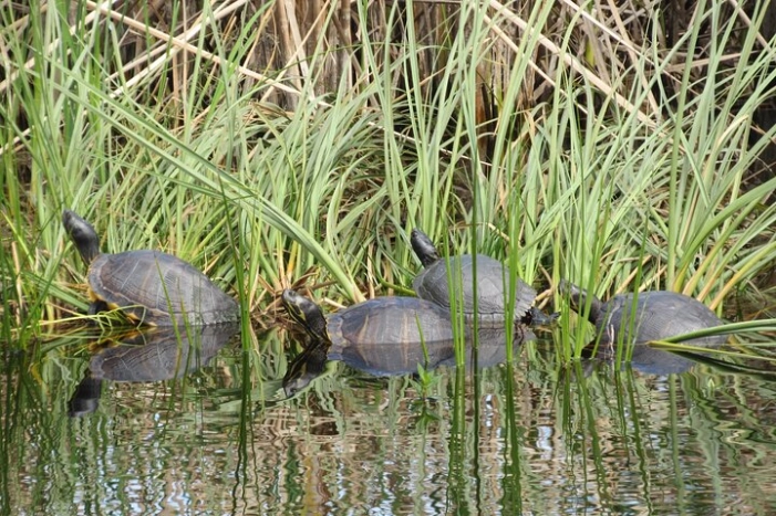 Image 9