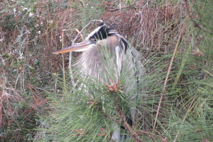 Image 14