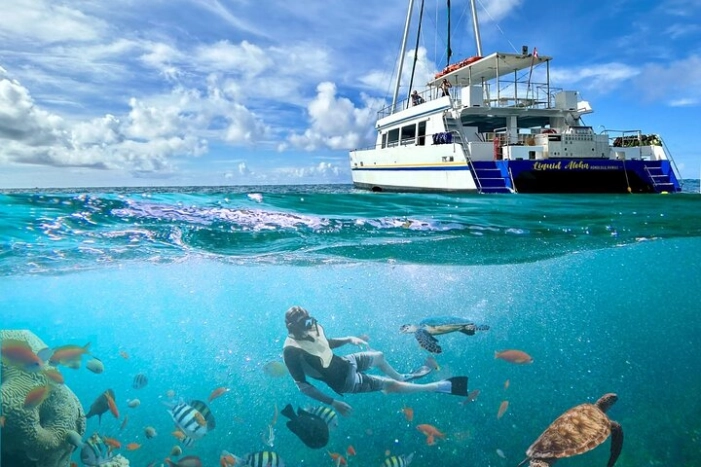 Waikiki Snorkel Adventure from Oahu