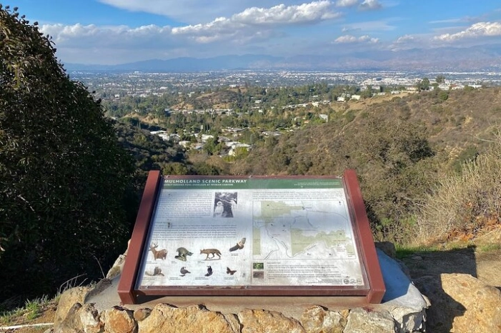 Image 15