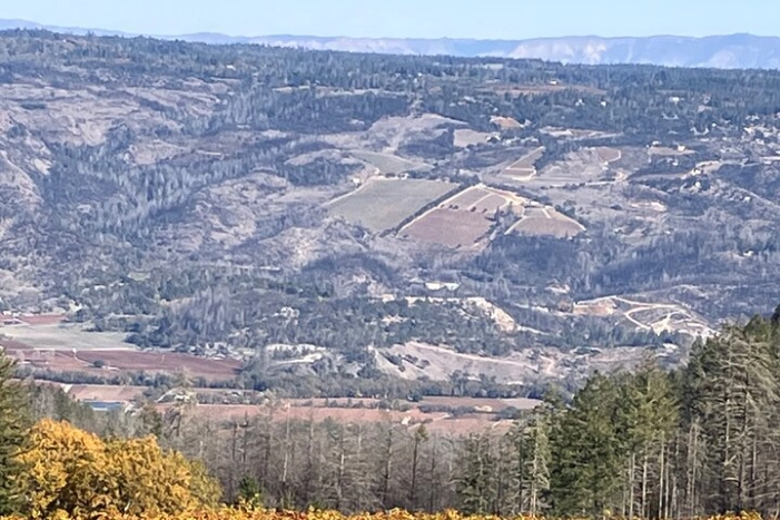 Image 15