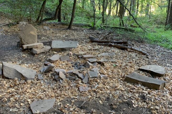 Image 11
