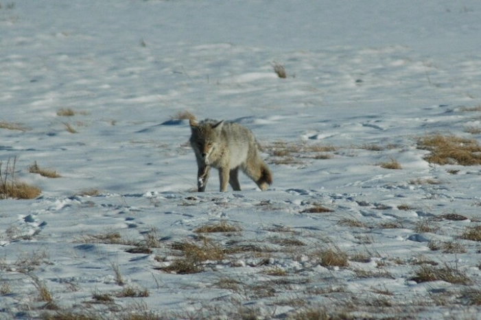 Image 9