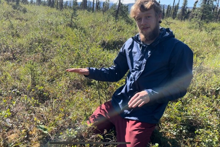 Image 12
