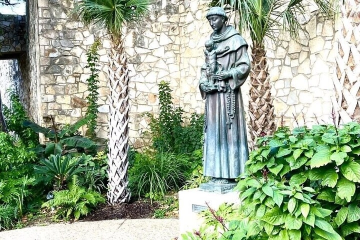 Image 17