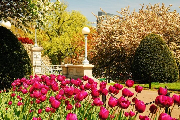Boston Common, Beacon Hill, & Public Garden Tour with Photoshoot