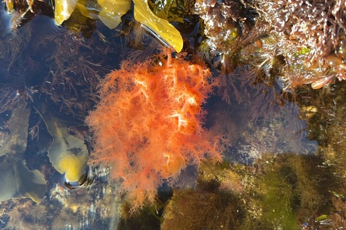 Image 12