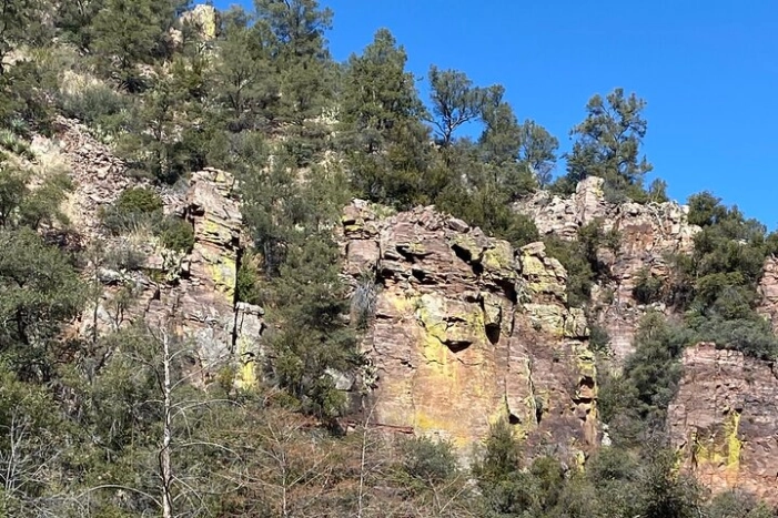 Image 14