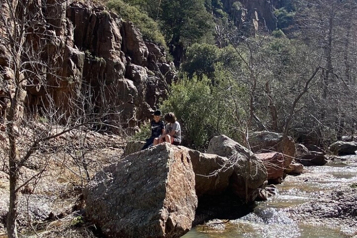 Image 12