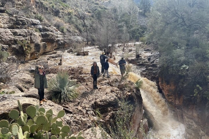 Image 5