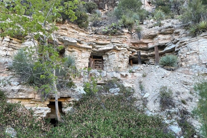 Image 7