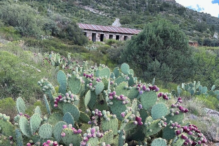 Image 14