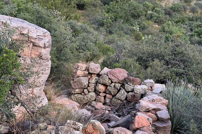Image 15