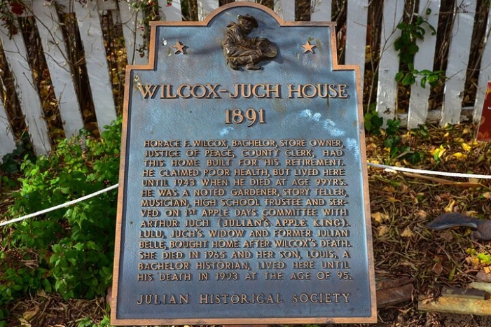 Image 9