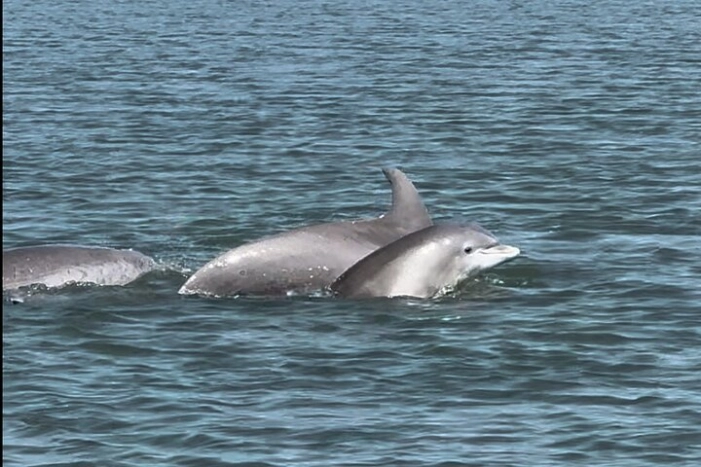 Image 14