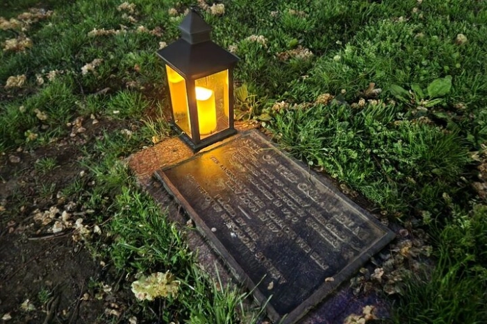 Image 7