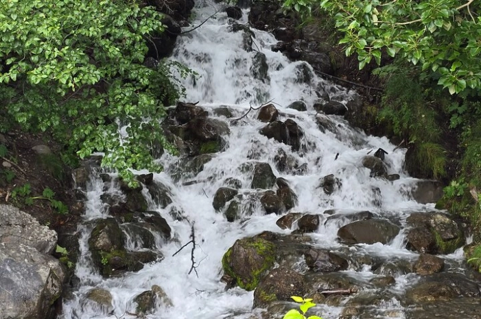 Image 36