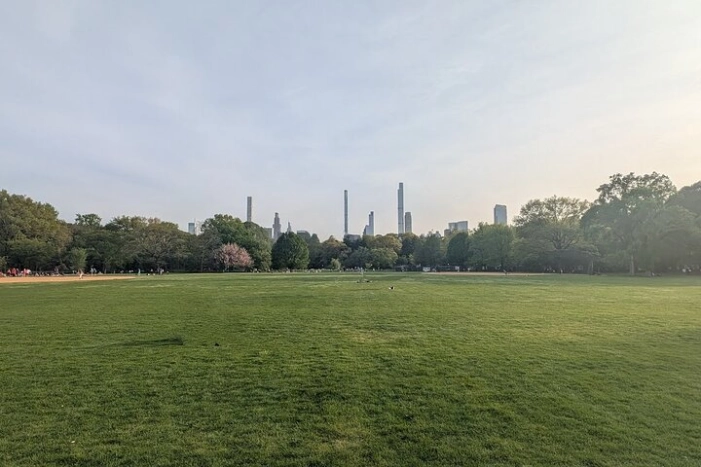 Image 19
