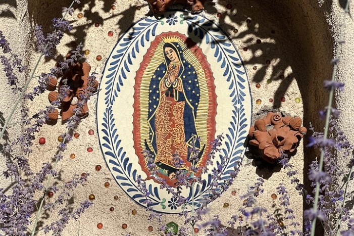 Image 4