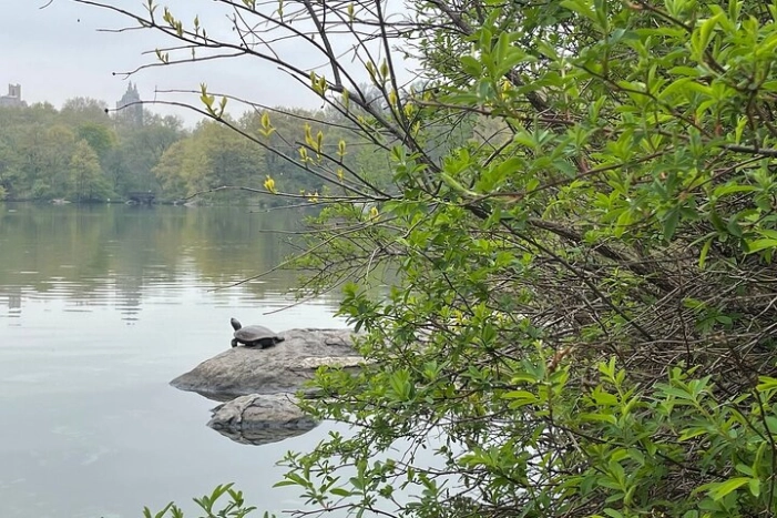 Image 13