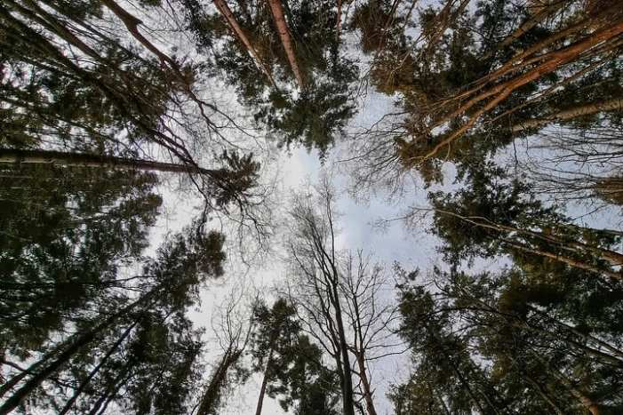 Image 11