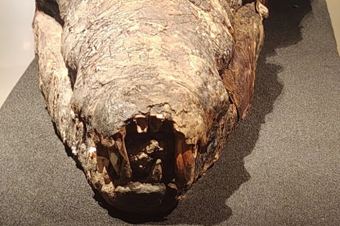 Image 19