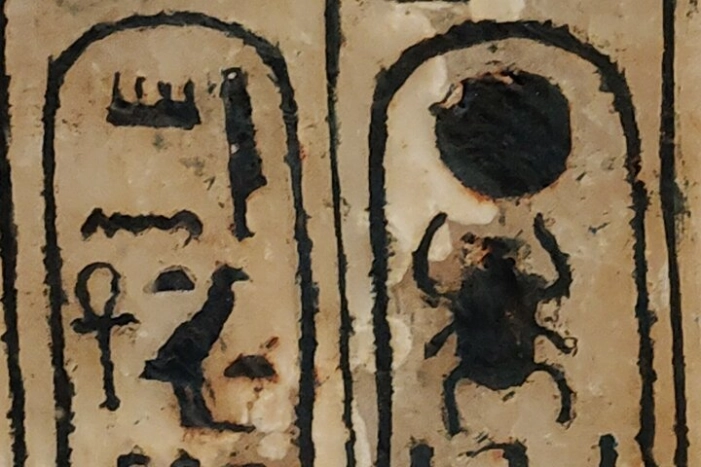 Image 14