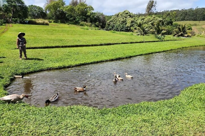 Image 15