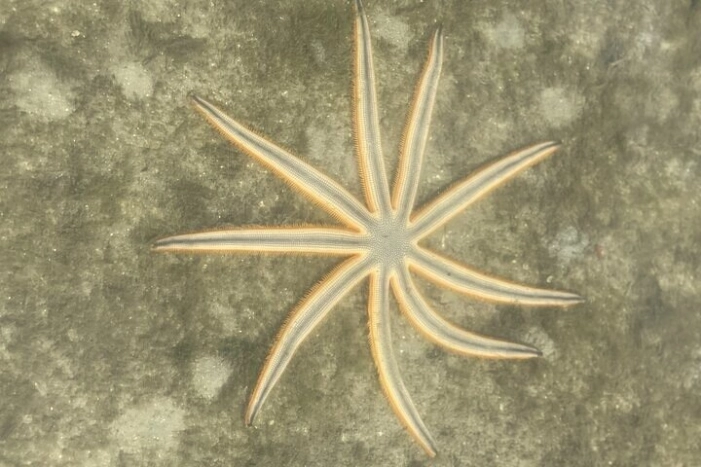Image 36