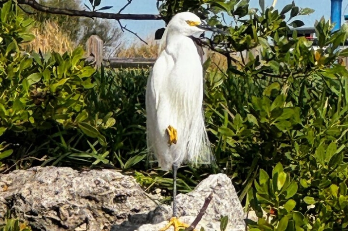 Image 16