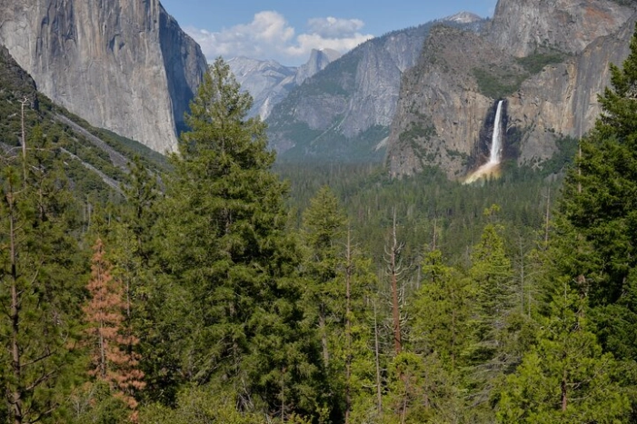 2 Day Private Tour to Yosemite National Park