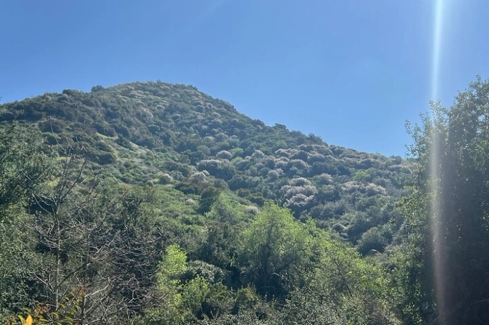 Image 19