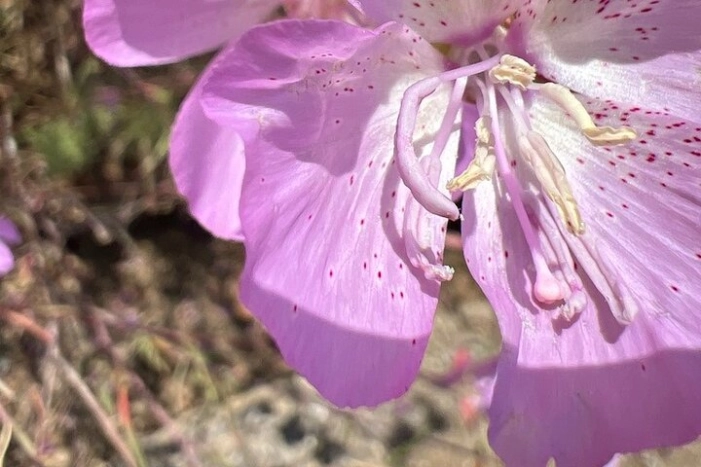 Image 14