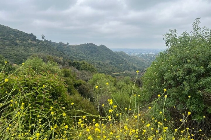Image 18