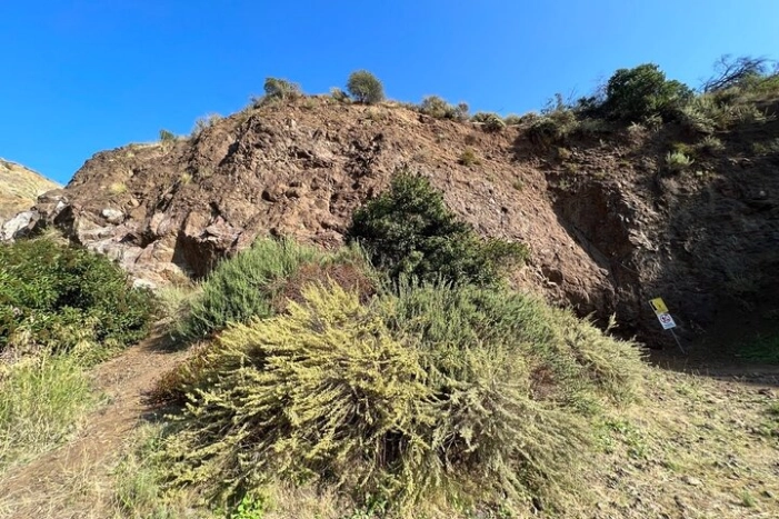 Image 21