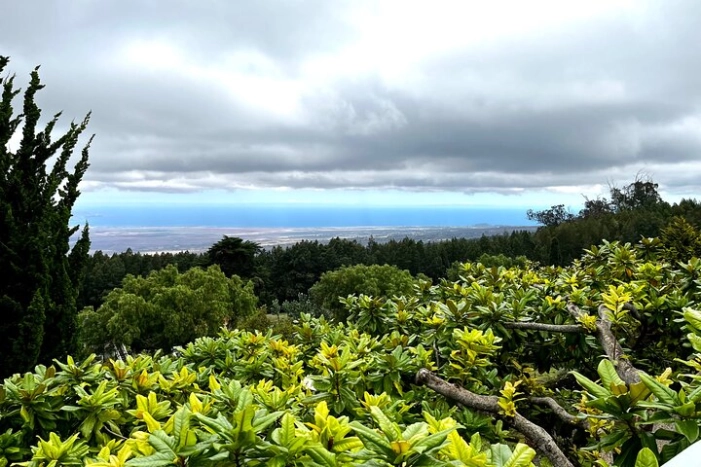  Private Upcountry Farm Tour on Maui 