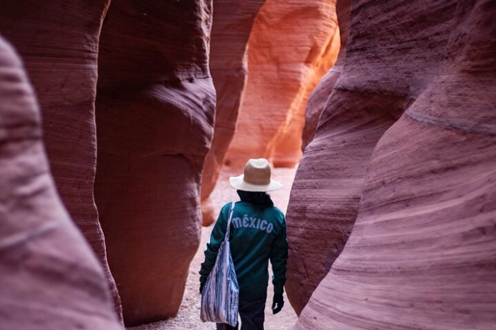 Image 6