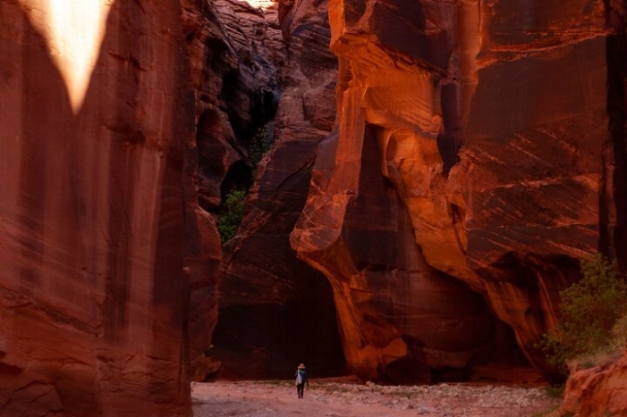 Image 7