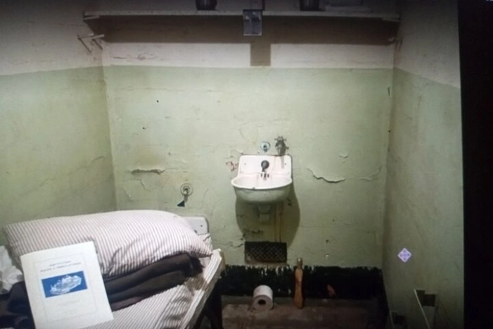 Image 3