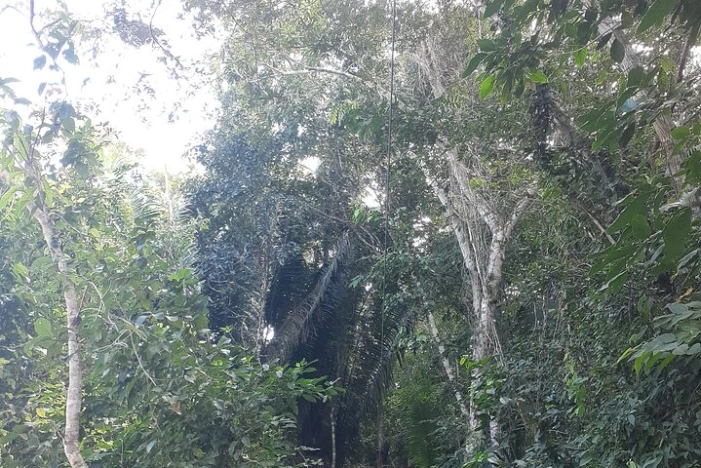 Image 23