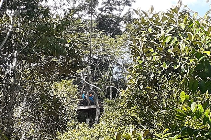 Image 4