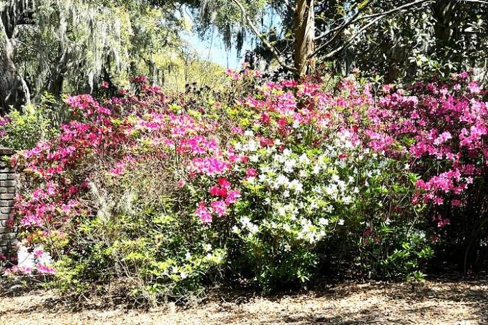 Image 14