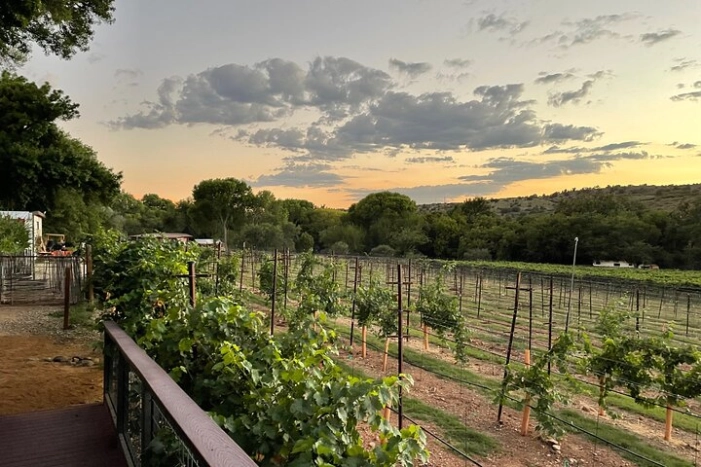 Arizona Winery All-Inclusive Tour with Lunch & Tastings