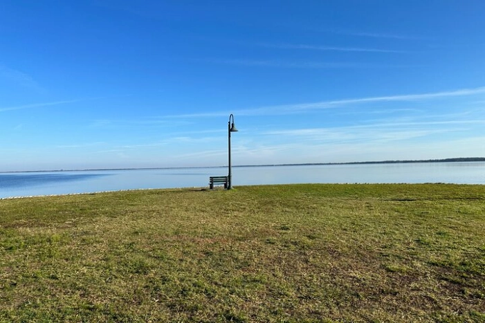 Image 14