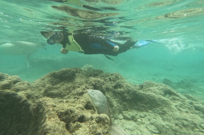 Image 9