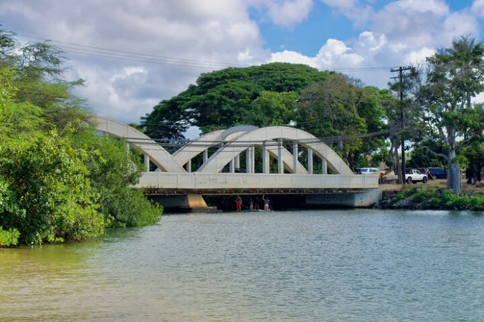 Image 21