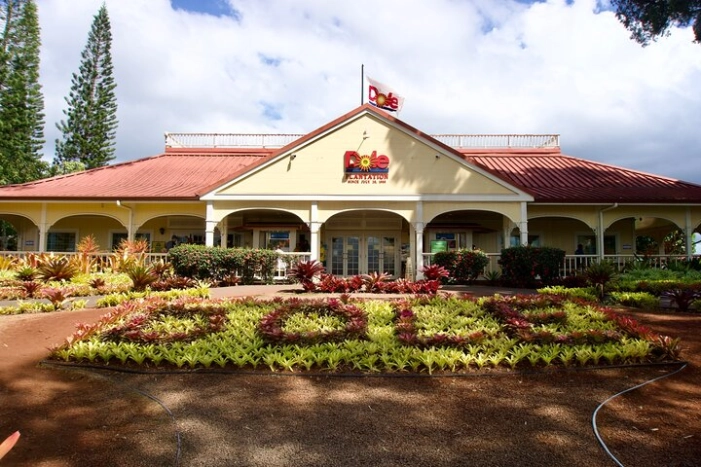 Image 19