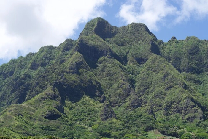 Image 26