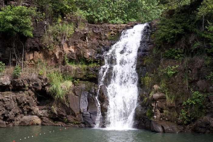 Private Tour-North Shore Oahu ft. Waimea Falls-Customizable