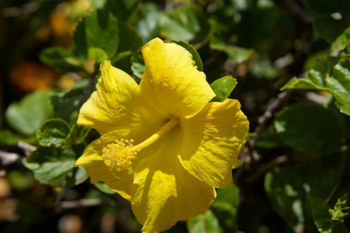 Image 35